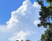 自贡天气预报,自贡7天天气预报,自贡15天天气预报,自贡天气查询